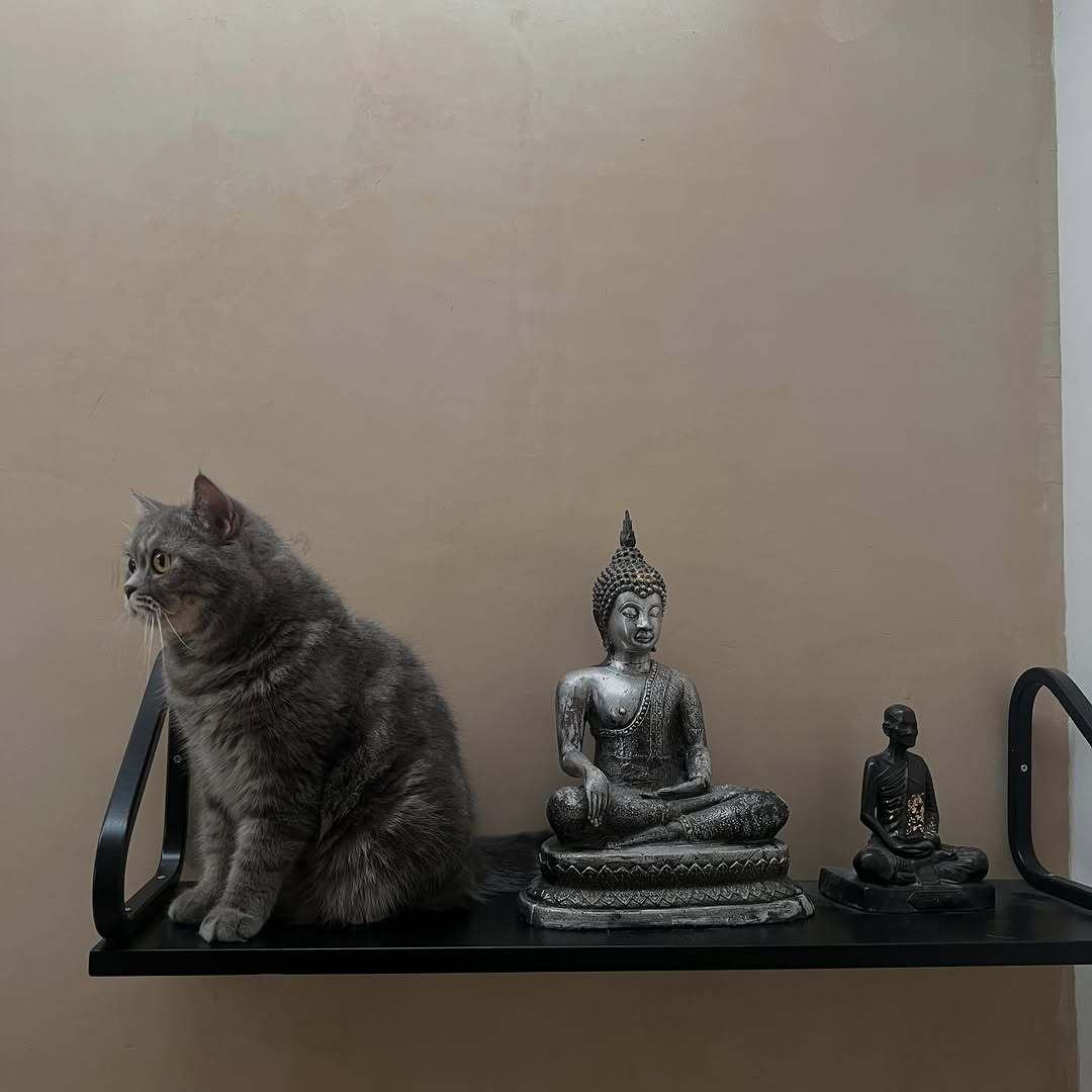 FirstKhaotung🐱！