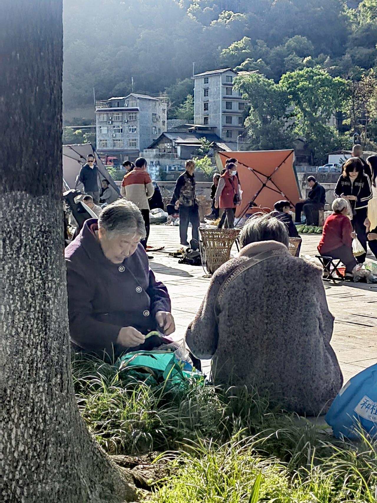 昨天，我在公园里目睹了一对六七十岁的老人之间的一幕。男人向女人求婚：“嫁给我吧