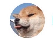 泰迪老话说的对👌🏻打狗看主人，恶犬的主人必恶🐶狗仔的面相就是眦牙瞪眼👀没有我家2个毛孩子可爱