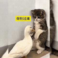 意外结缘！本以为要上演一场对峙，结果直接处成挚友这段趣味画面我反复翻看，越