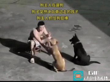 狗，它不一定是好狗；人，虽然有点瑕疵，但，还是属于好人行列的。就它主人的这个态