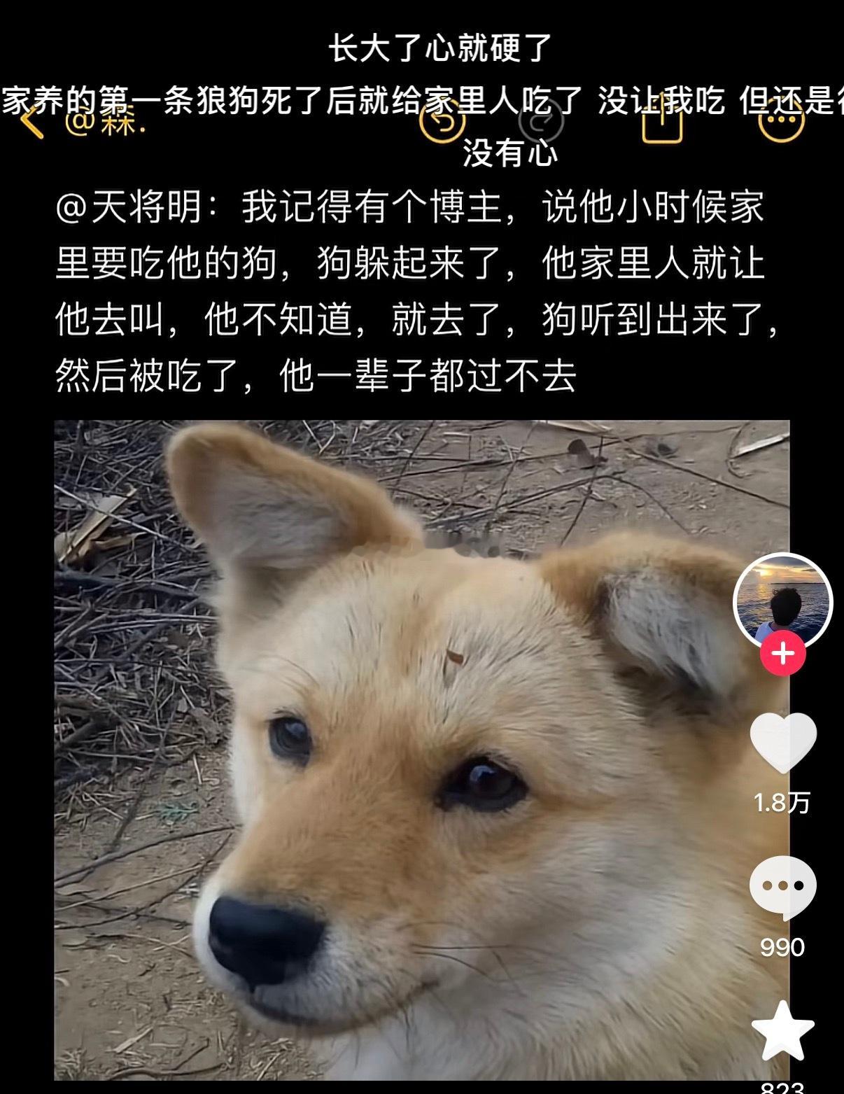 电影里超级反派大概也就是这种童年了