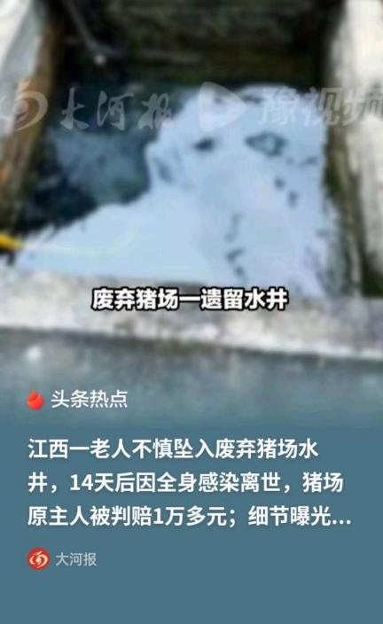 “最憋屈的死法！”江西宜春，一家猪场原主人拿到拆迁补偿款之后，猪场里面遗留的废弃