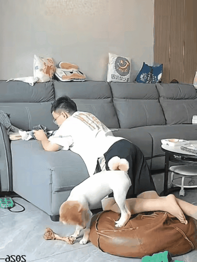 这个小伙子的大腿，被狗认为是一块会动的大骨头，毫不客气上来就是一口，看着真的是太