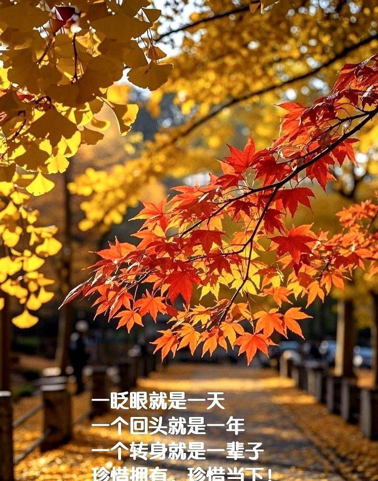 一年的时间很短。一年一年就是一辈子，从少年到中年，一晃半生已过。我们一边经历