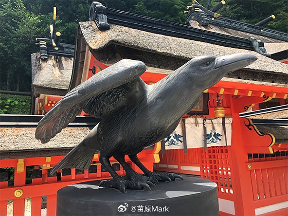 日本队本届世界杯能走多远日本足球一火，又文化输出了，拉美网友自学成才成果展示—