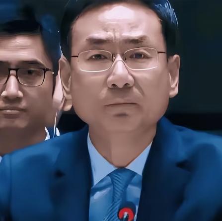 耿爽被免去常驻联合国副代表职务！相关信息已在官网撤下，有关他的消息，今后一段时间