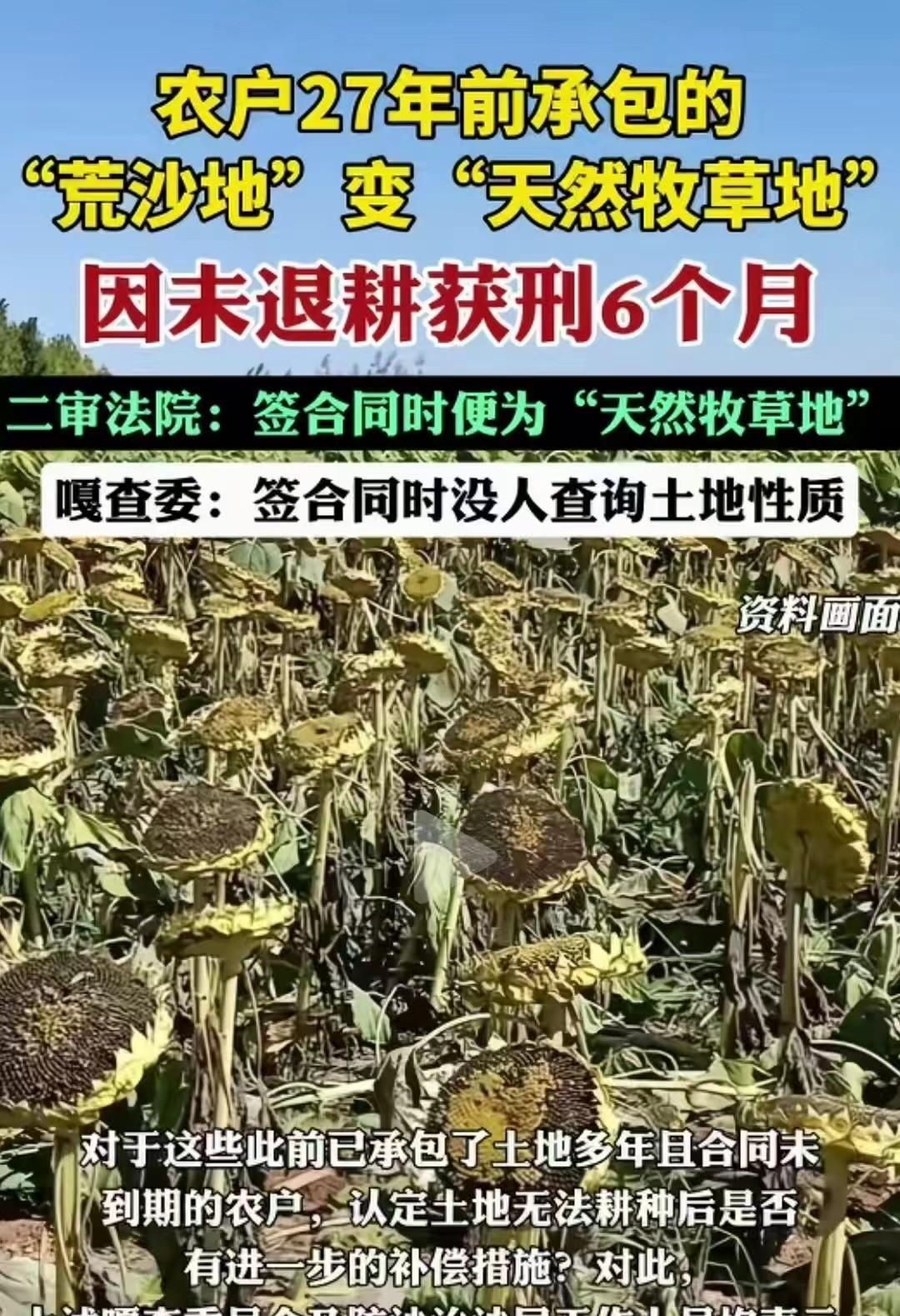 内蒙古巴彦淖尔，男子的父亲27年前花3000元承包了300多亩“荒沙地”，可多年