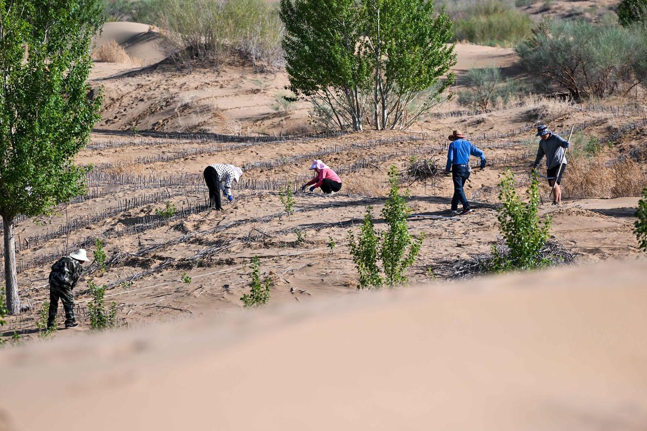 引黄河水治沙变绿洲，这事儿还真可行！就拿内蒙古库布齐沙漠来说，它曾是“死亡之海”