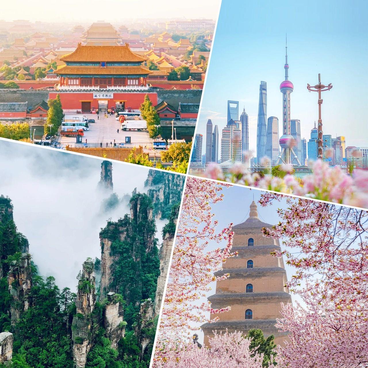 赴华旅游预订量猛增超过100%，越来越多澳大利亚游客将目光从日本转向中国。 