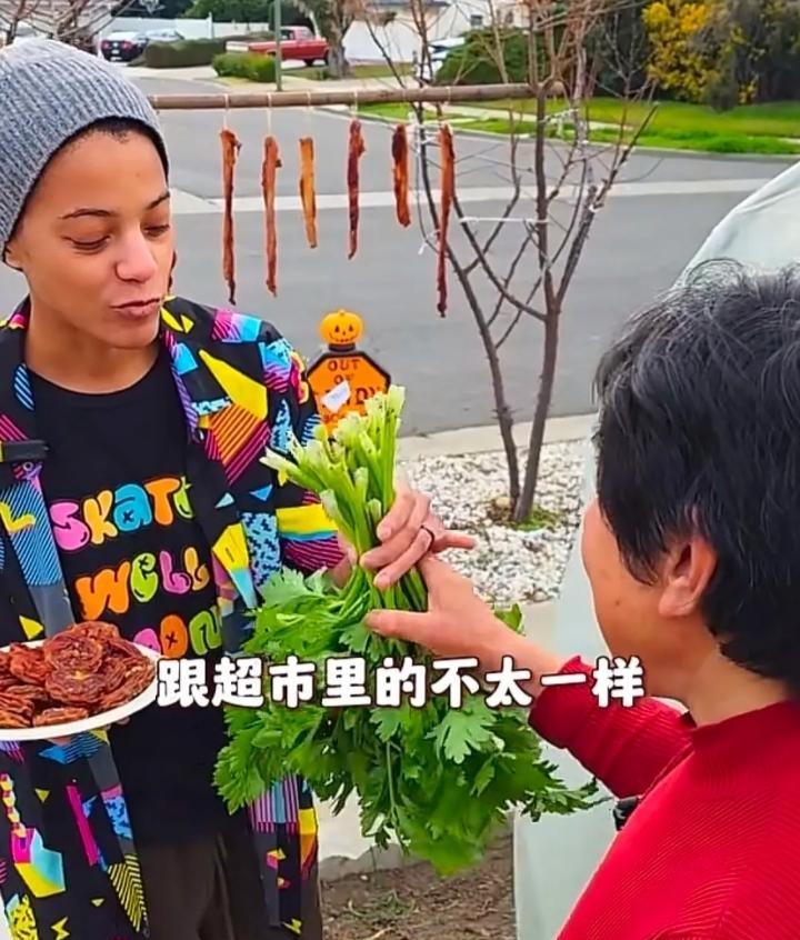 一位山东大妈去美国探亲，她在自家后院搭起大棚，种了各种蔬菜，长势喜人，直接实现蔬