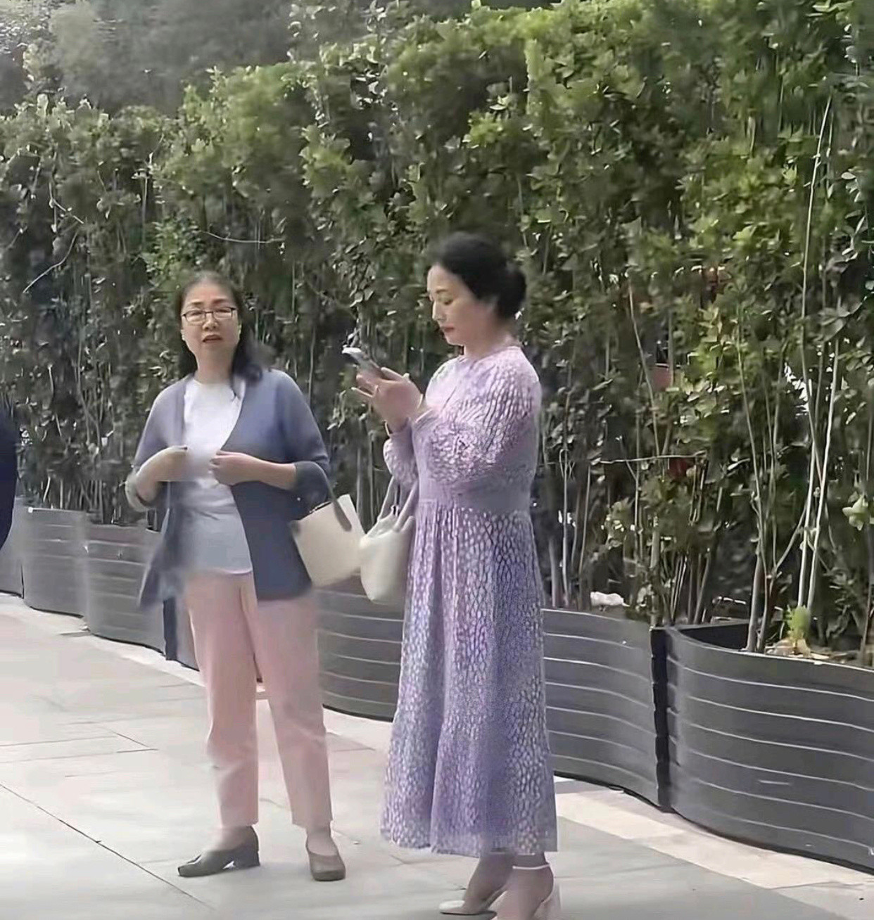 网友偶遇了刘亦菲的妈妈，65岁了皮肤保养的好好啊。果然和刘亦菲一样都是大美女