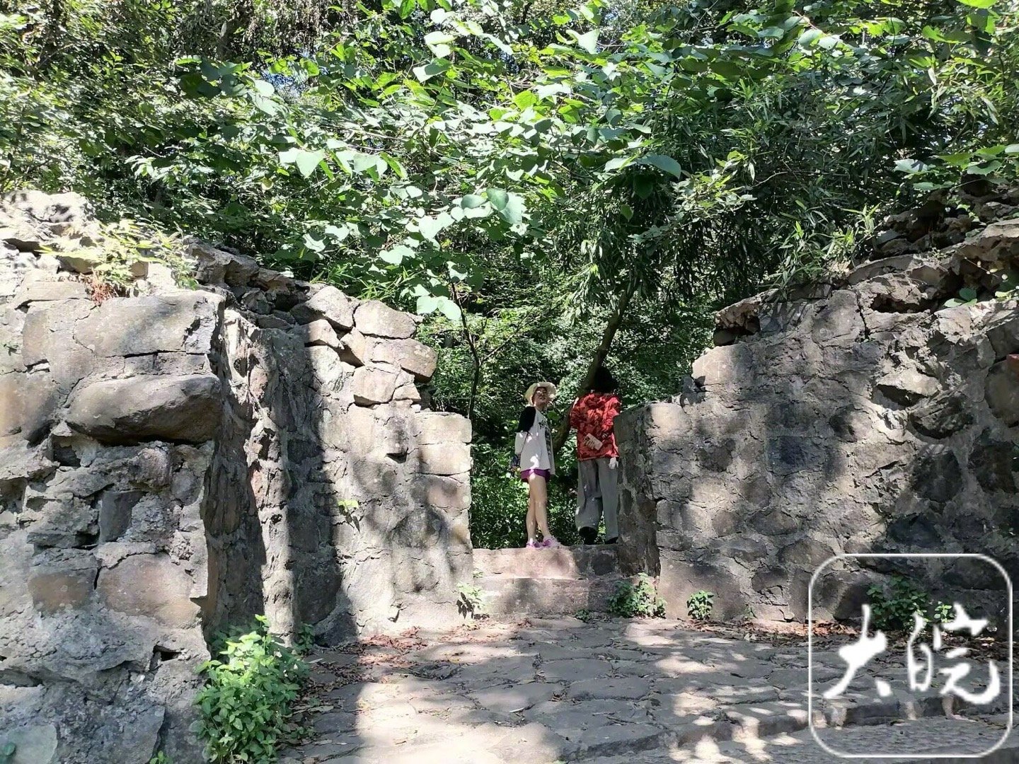 【#合肥大蜀山密林里藏着日本侵华罪证#】大蜀山位于合肥西郊，夏日这里郁郁葱葱，苍
