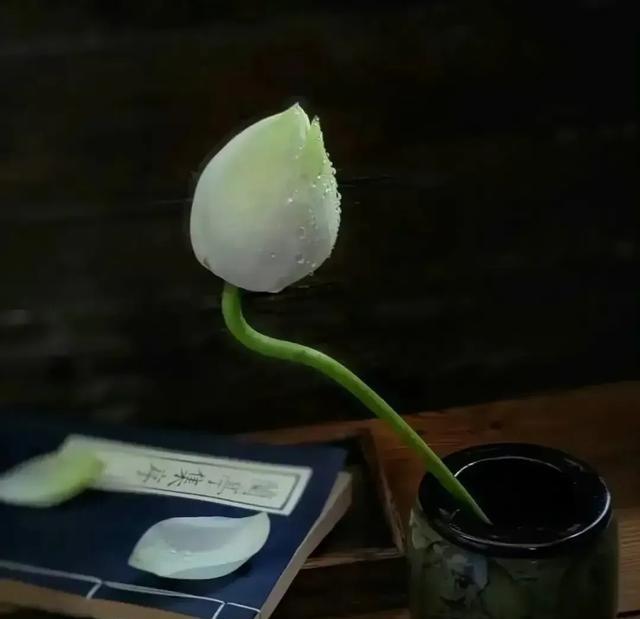 非常通透的一段话：“人如果过度的节省，舍不得吃，舍不得穿，那你省下来的其实不是钱