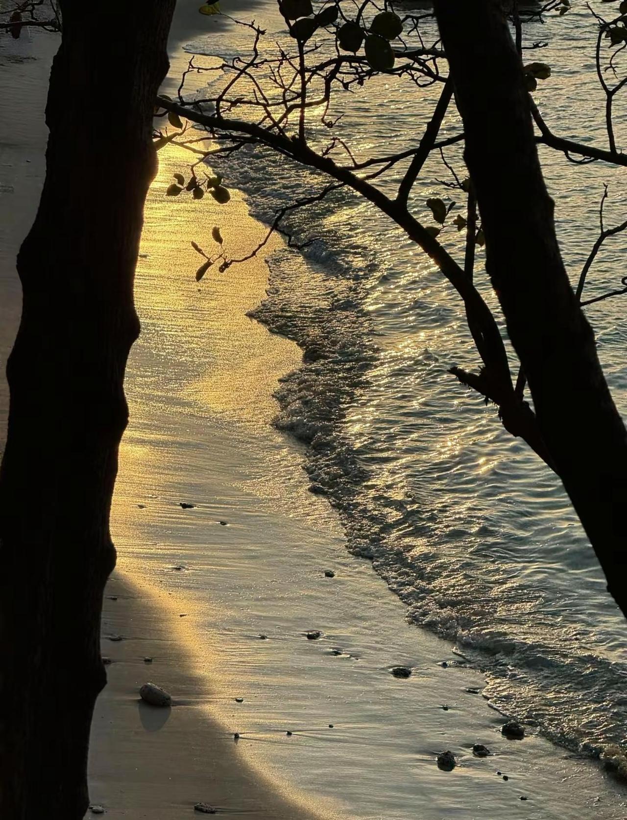 原来我已经40整了，可是我还想回去读大学，想去黄山顶拍云海，想好好写一本书，想去