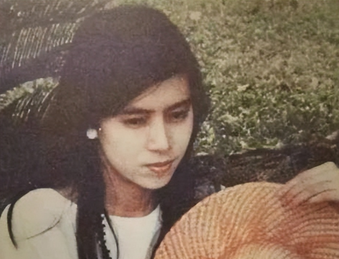 1976年，19岁的许纯美去富豪家玩时，被李文清强暴却不幸“中彩”，为了面