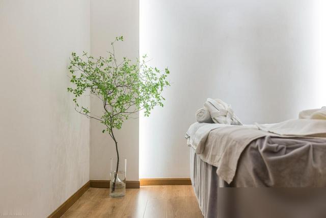 谁懂啊！最近被马醉木戳中审美心巴了！刷到好多人说它是“观叶植物爱马仕”，枝叶