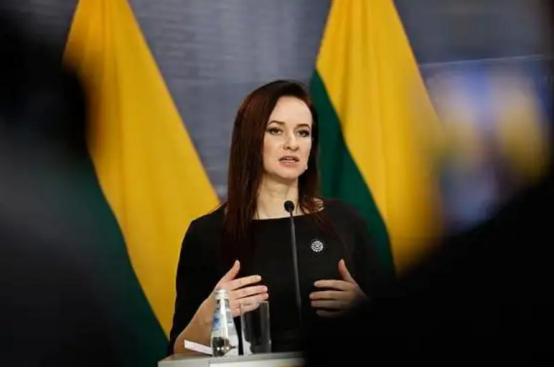 立陶宛被打疼，涉台表态变了，中欧班列已改道，200多条铁轨全拆 3月23