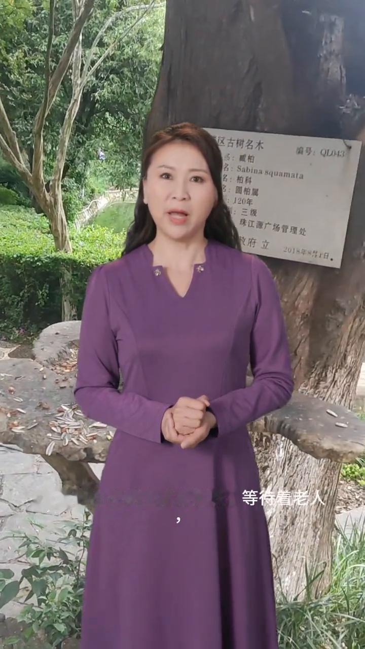 珠江源的秘密：大树上松鼠与老人的爱之情。在珠江源广场，老人与松鼠的故事满是温情