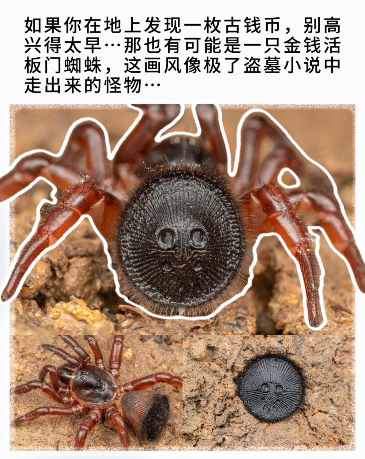 如果你在地上发现一枚古钱币，别高兴得太早…