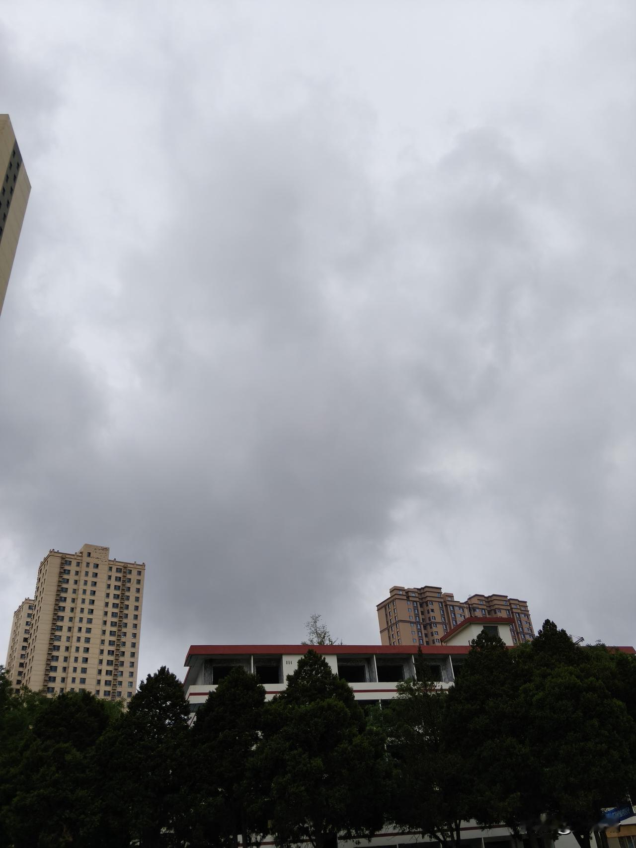 别看现在已经是夏天了，但是兰州的天气是隔三差五的就下个雨，下完雨后真的特别的舒服
