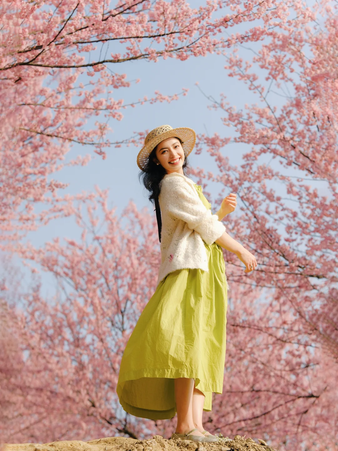 一树一树的樱花，就是一树一树的春天