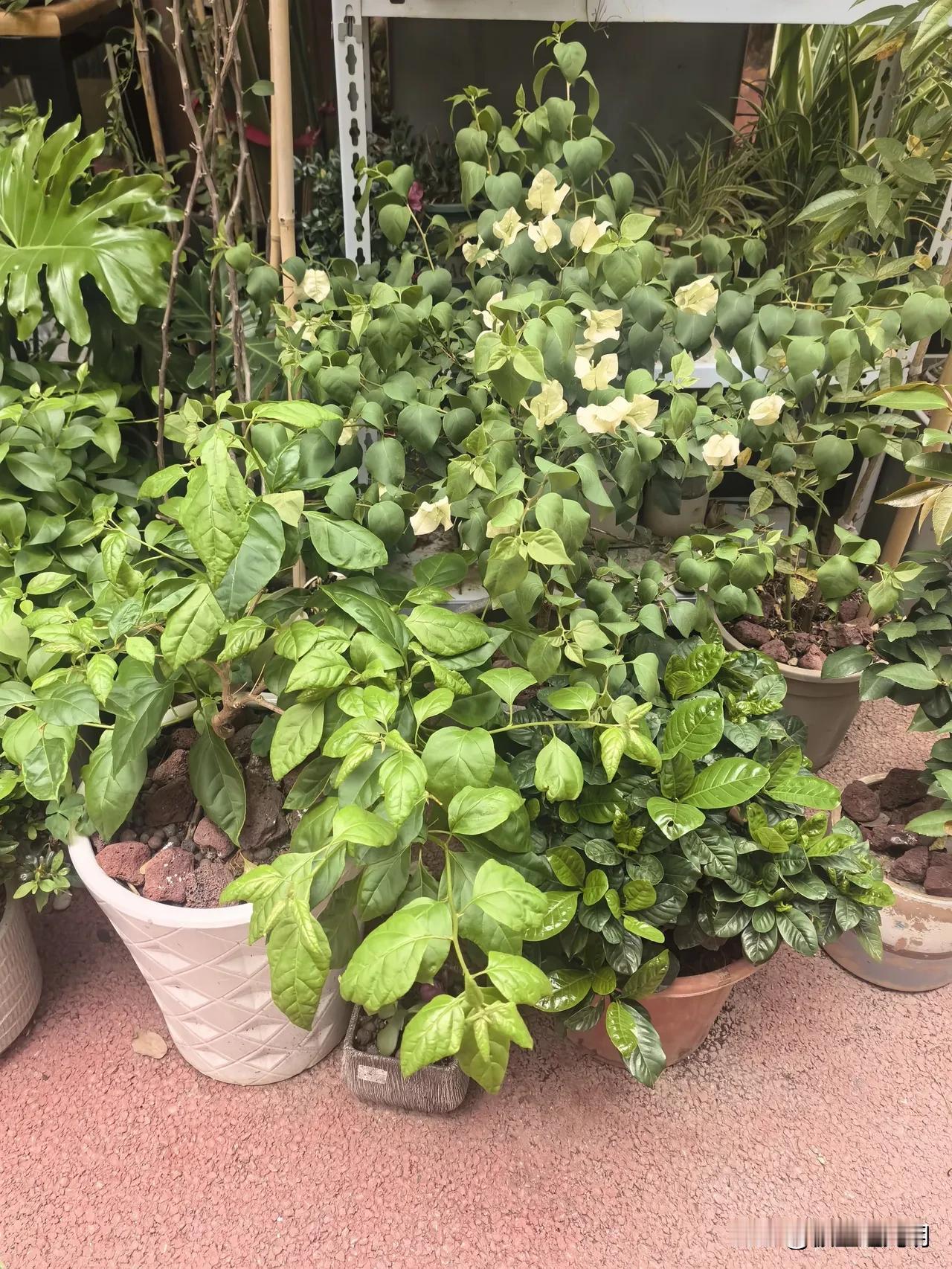 有篇文章列了7-8条治愈焦虑症的方法，有游泳、散步、瑜伽等，网友没有完全认同，加