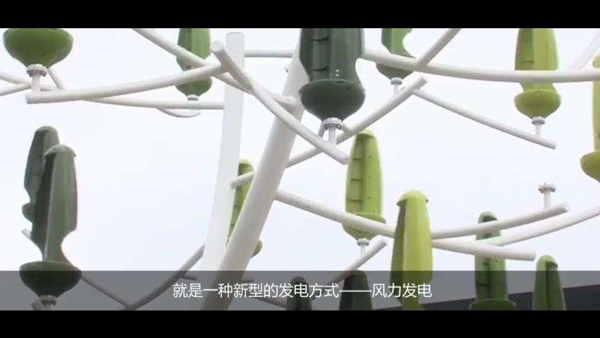 法国影片 【都是轮椅惹的祸】 国语