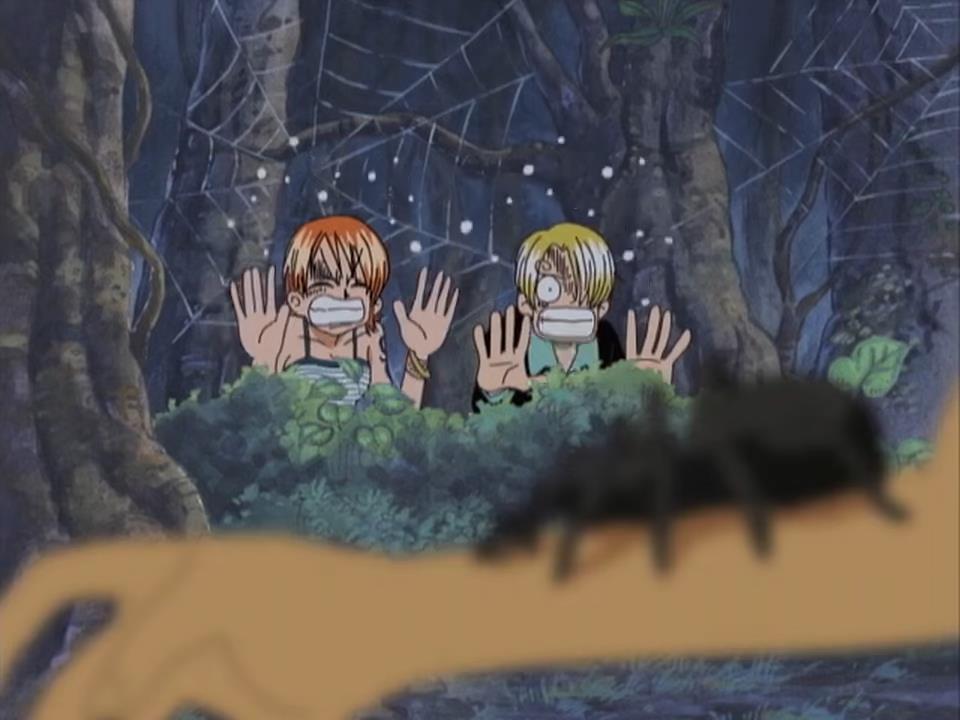 海贼王海贼王娜美和山治还是那么怕虫子