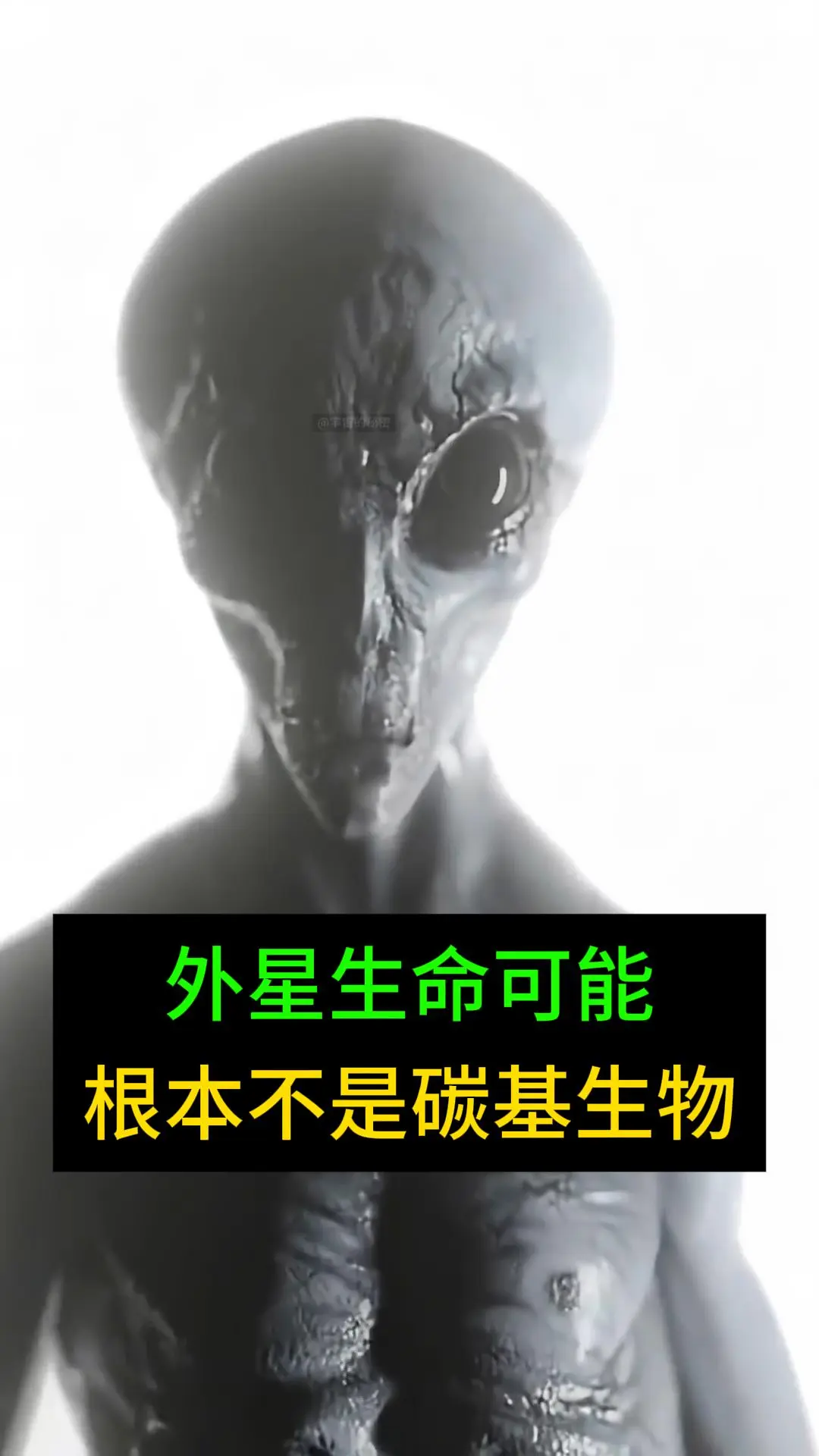 外星生命可能不是碳基生物！