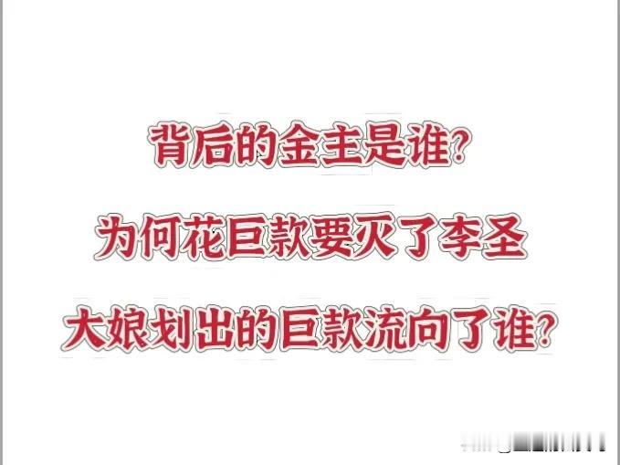 《正义人士助力李律，大娘资金流向遭质疑》有专业同行正义人士站出来以实际行动支持李