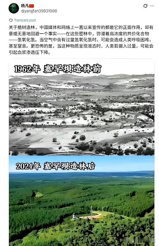 刚看又以为是个黑子，细看原来是个钓鱼的。植树造林说的好像很严峻，还一本正经的