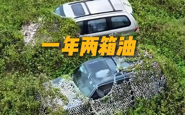 在车水马龙的城市里，有这样一群车主：他们的车一年只喝两箱油，大多时间在车库“躺平