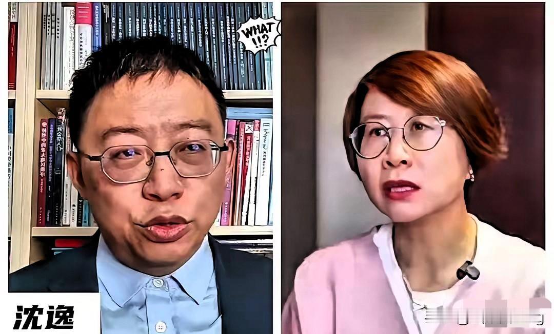 500万欧元喂出的“人权口号”？赵宏的争议，戳破了西方合作的虚伪面具！瑞典这