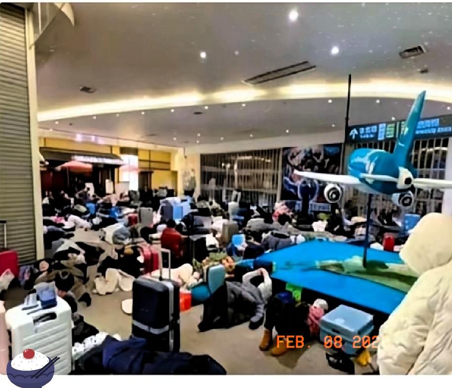 “明知山有虎，偏向虎山行”北海道那个机场，1800游客像炸了窝的黄蜂一样，闹着