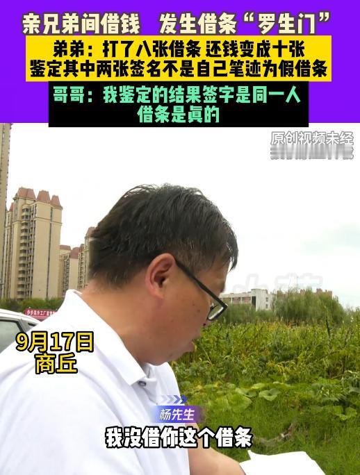 网友：两人中有坏人！河南商丘，五年间，杨先生资金紧张，8次找亲大哥借钱，打了8张