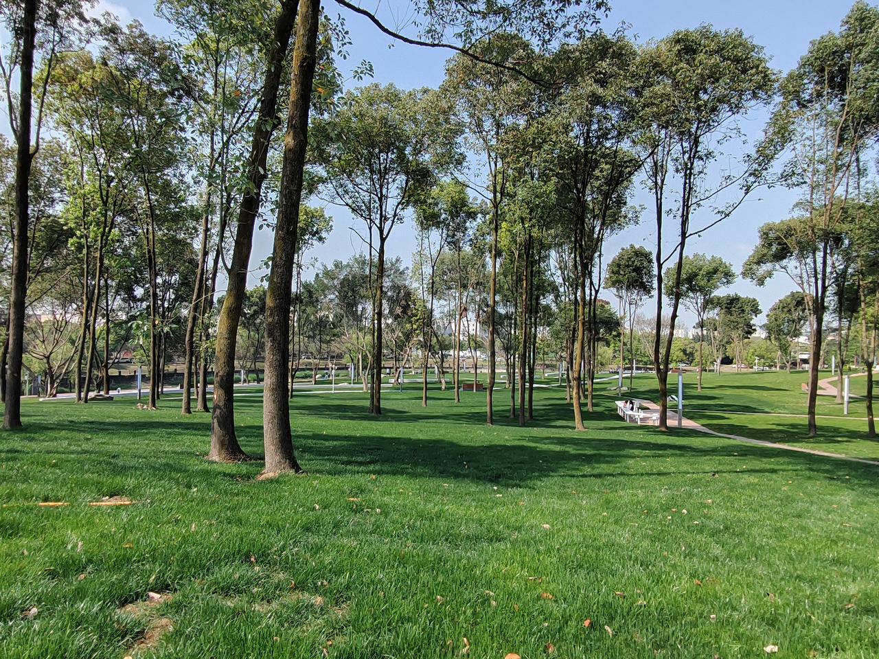 春日生活打卡季阳光洒满的公园，绿草如茵，树影婆娑，静享美好时光。🌳🌞🍃