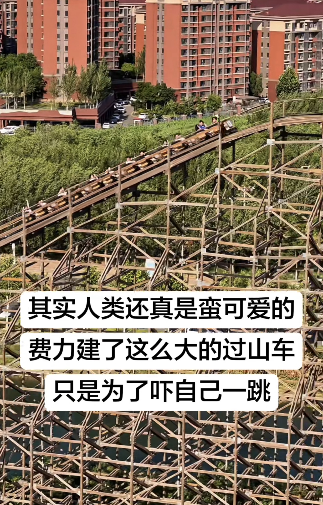 其实人类还真蛮可爱的​​​