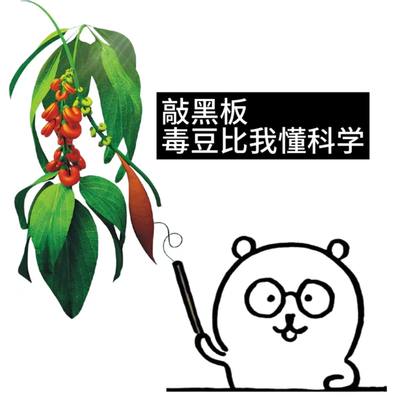 【一颗毒豆如何帮科学家看见神经信号？】神经细胞之间到底怎么“说话”？这个问题的