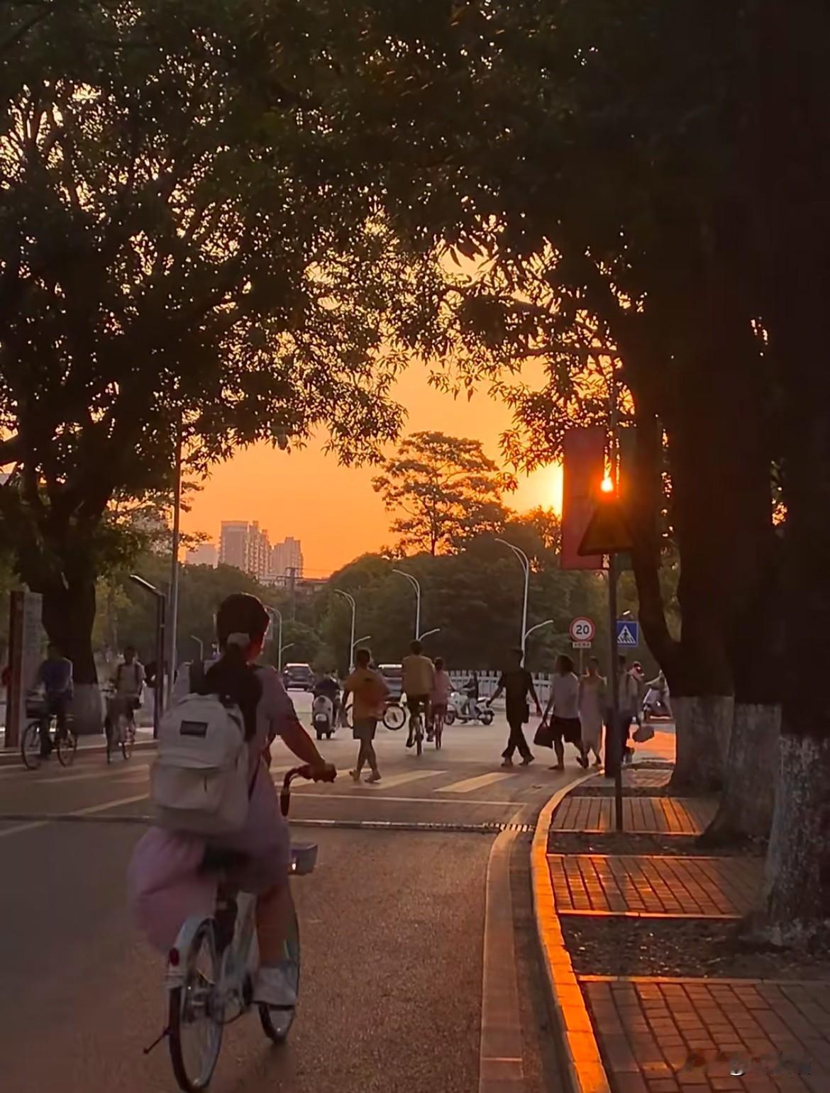 今年年初西湖大学一份学费公示，直接刷屏全网，收获清一色好评，看得不少家长心生感