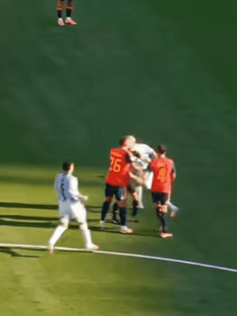 阿根廷队多人面临禁赛据《世界体育报》消息，FIFA调查员已集齐决赛赛后冲突全部材
