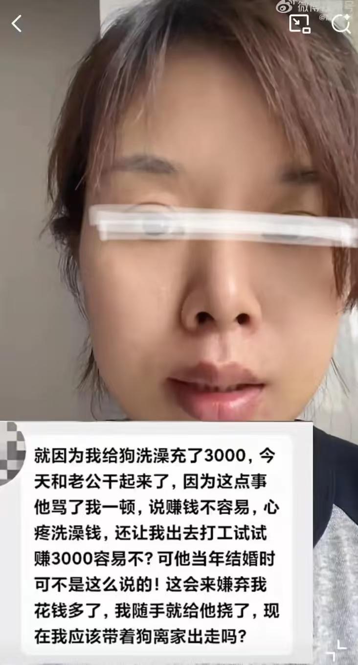 对狗比对我好！女子给狗充了3000元洗澡卡，丈夫知道后大发雷霆，说女子败家，对狗