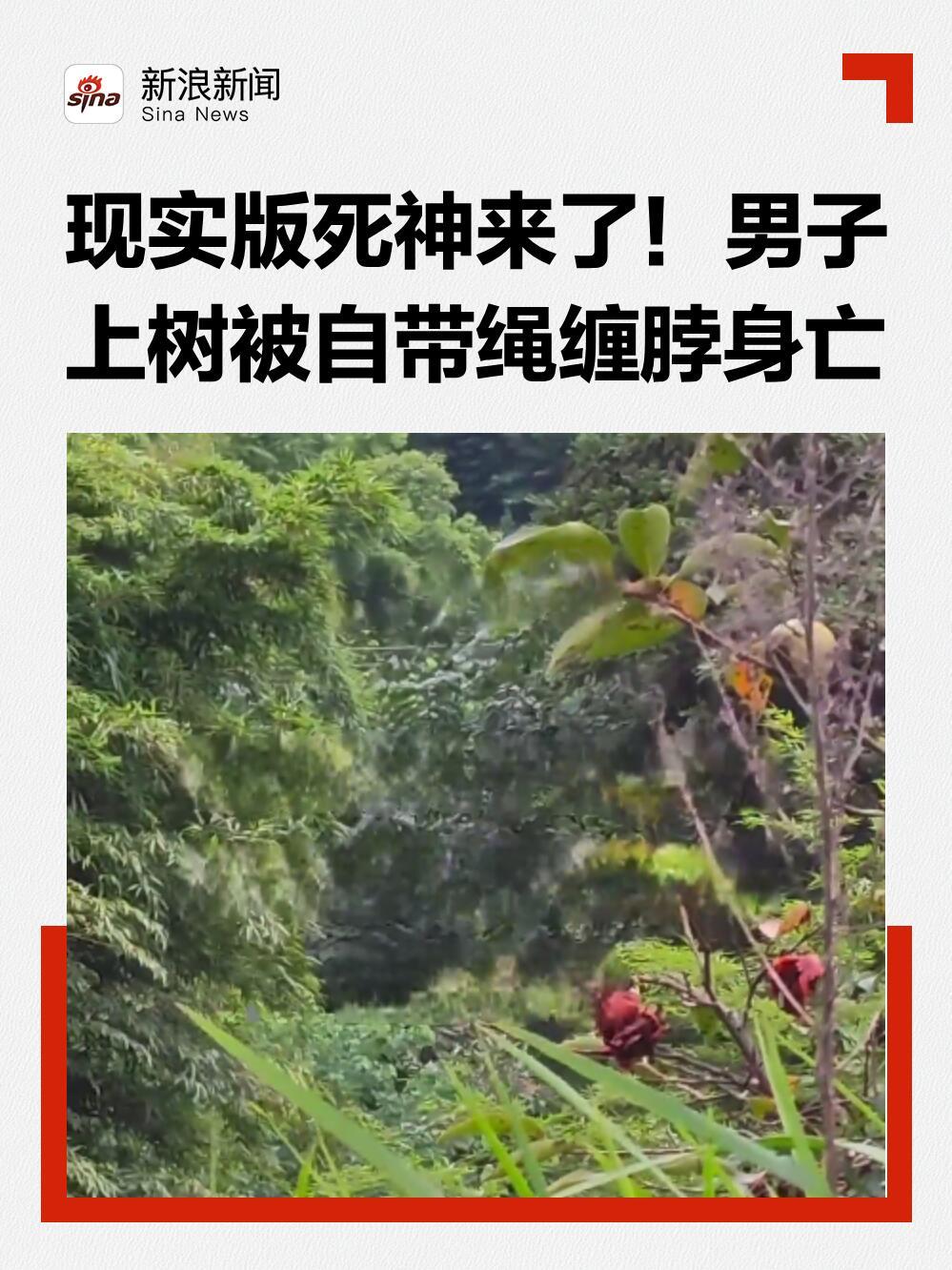 四川宜宾这事儿太让人揪心了！28岁的小伙子上树取蜂蛹，结果被自己带的绳子缠了脖子