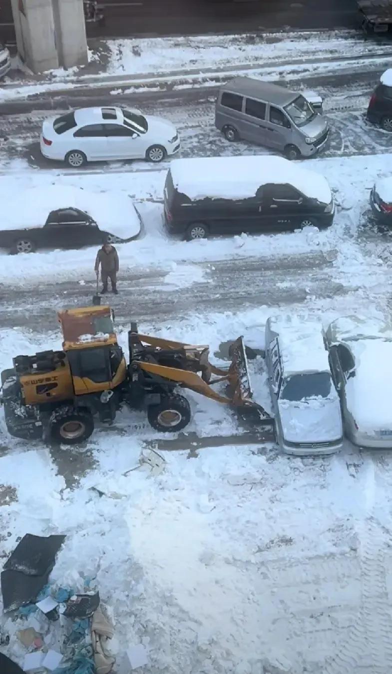 沈阳除雪之困，共治之盼。今年沈阳的大雪，本应是冬日里的浪漫景致，却因除雪缓慢成了