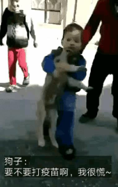 狗咬人需要打疫苗，那人要狗呢？[捂脸哭]