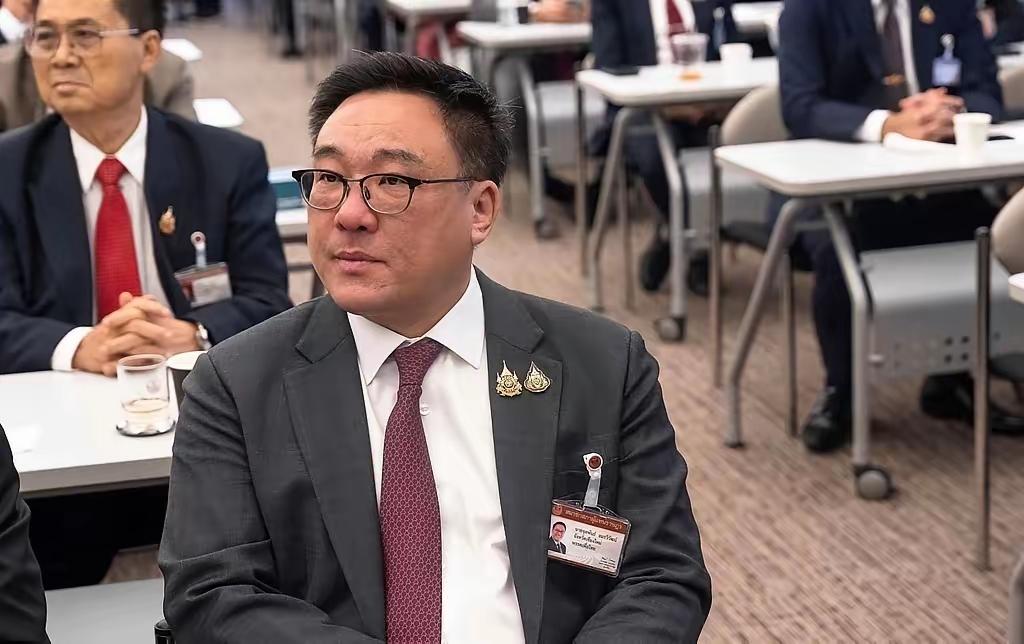 由于泰国的王室和军阀对西瓦纳家族的打压和迫害，最终导致了西瓦纳家族不断地失去政治