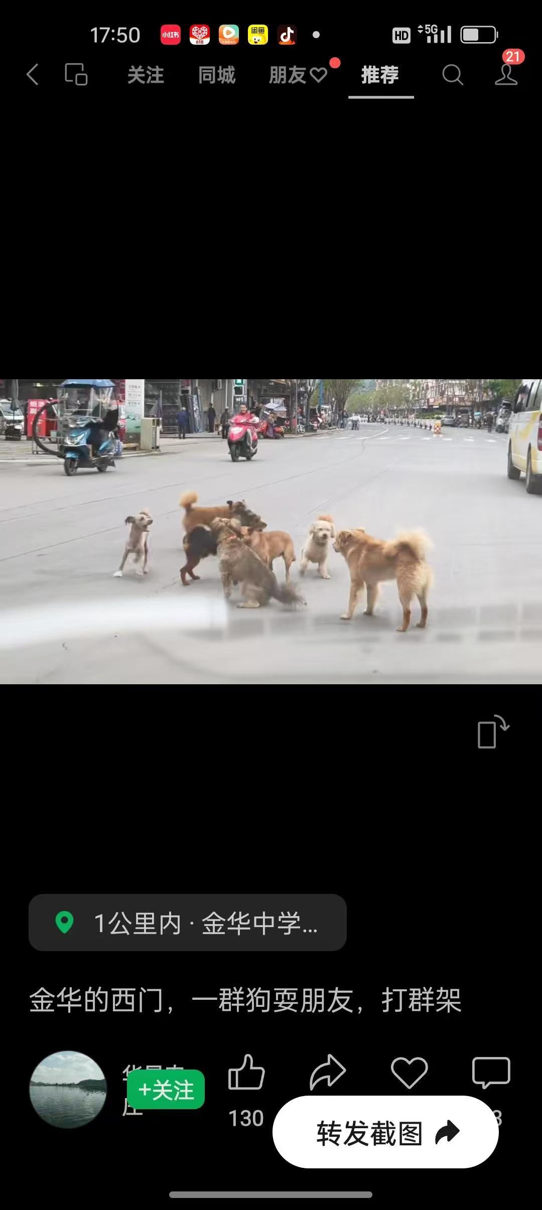 这么多狗就在大街上耍朋友，这都是养狗者给造成的危害，狗患必除，养狗者必冶理。