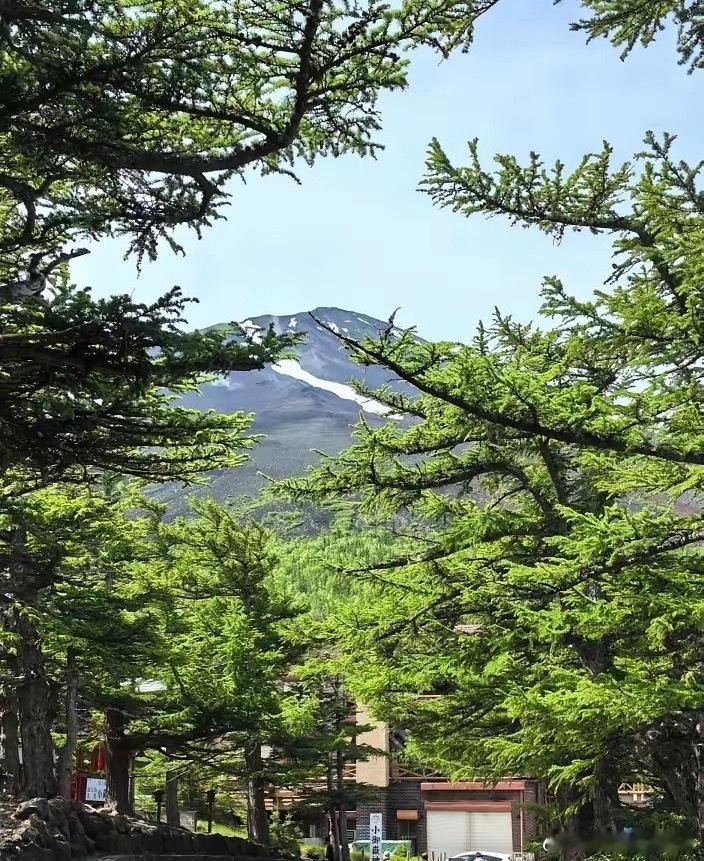 外网有个阿拉伯语的帖子火得一塌糊涂，三百多万浏览量全在看个笑话。帖子核心就一句：