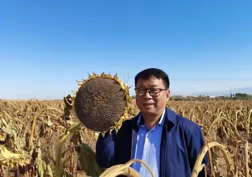 🌛我国工程界大乌龙事件！2009年，重庆大学教授易志坚在研究物质力学时，意