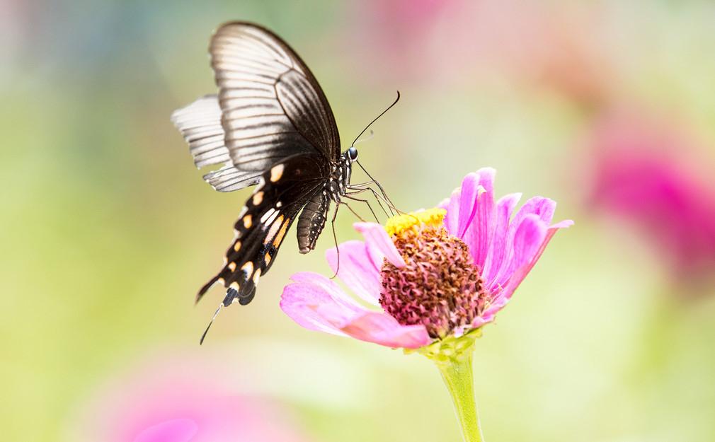 我是特别的羡慕我们这边的一位学生家长，他们家是男孩子，周末上课都是孩子自己过来，